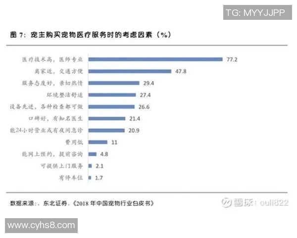 每年新生足球明星的崛起与未来发展趋势分析